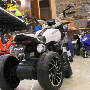 Ducati 3 Wheeler Kids Bike