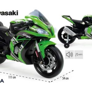 Kawasaki Ninja Bike