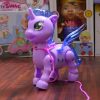 Pony Walking Toy