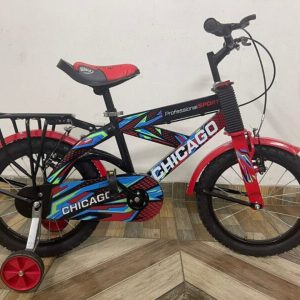 20 Inch Bicycle