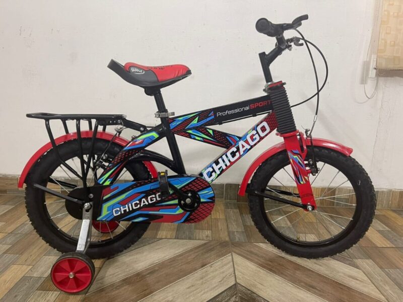 20-inch-bicycle-btltoys