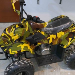 2021 Model ATV Desert Bike