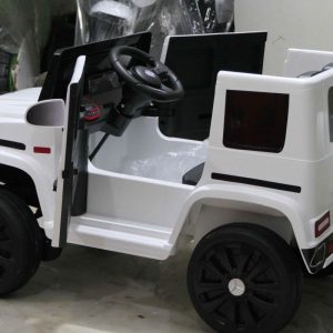 Mercedes Benz AMG G65